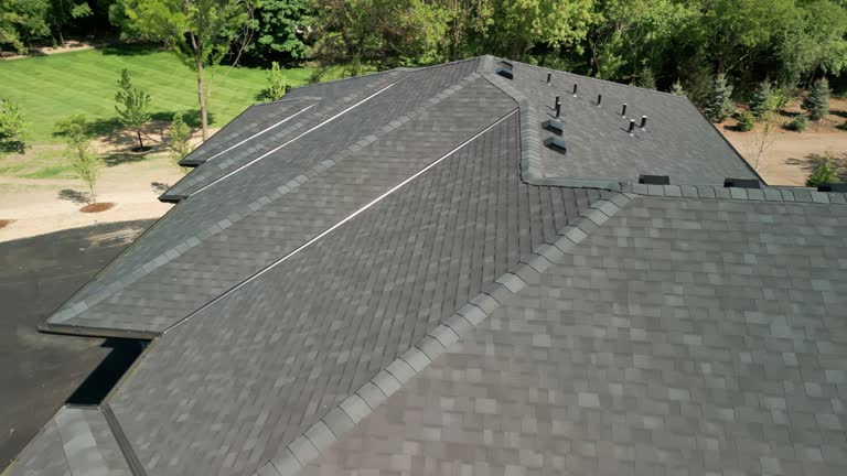 Best Roof Moss and Algae Removal  in Pueblo, CO